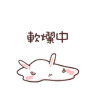 Rabbit RaRa（個別スタンプ：30）