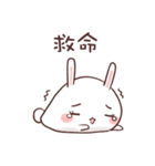 Rabbit RaRa（個別スタンプ：36）