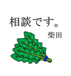 柴田のビジネスほうれん草（個別スタンプ：3）