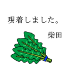 柴田のビジネスほうれん草（個別スタンプ：4）