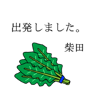 柴田のビジネスほうれん草（個別スタンプ：5）