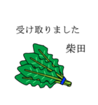 柴田のビジネスほうれん草（個別スタンプ：11）