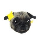 Pug Feeling（個別スタンプ：9）