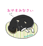 黒柴の小鉄くん（個別スタンプ：3）