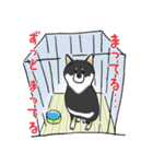 黒柴の小鉄くん（個別スタンプ：6）