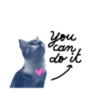 Love me,love my cat ~ Boonhlong（個別スタンプ：11）