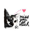 Love me,love my cat ~ Boonhlong（個別スタンプ：18）