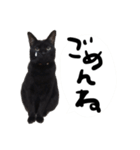 黒猫こなつさん（個別スタンプ：10）