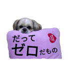 pretty dog Shih Tzu（個別スタンプ：6）