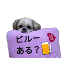 pretty dog Shih Tzu（個別スタンプ：11）