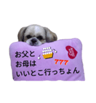 pretty dog Shih Tzu（個別スタンプ：15）