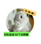 Bunny love lunch routine expression（個別スタンプ：2）