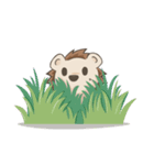 HedgeBear（個別スタンプ：5）