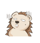 HedgeBear（個別スタンプ：9）