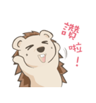 HedgeBear（個別スタンプ：12）