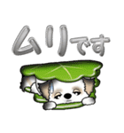 【大きめ文字】シーズー犬の梅雨 Vol.6（個別スタンプ：8）