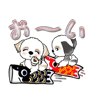 【大きめ文字】シーズー犬の梅雨 Vol.6（個別スタンプ：10）