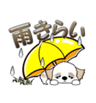 【大きめ文字】シーズー犬の梅雨 Vol.6（個別スタンプ：34）