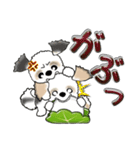 【大きめ文字】シーズー犬の梅雨 Vol.6（個別スタンプ：37）