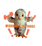 Experience the lazy little owly way（個別スタンプ：1）