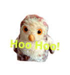 Experience the lazy little owly way（個別スタンプ：4）