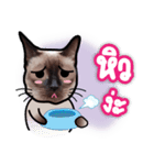 Meaw-Makin（個別スタンプ：24）