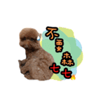 My ROCK Poodle（個別スタンプ：6）