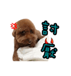 My ROCK Poodle（個別スタンプ：33）