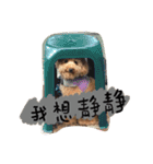 Rudyy（個別スタンプ：1）