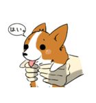 Stretchy Long Corgi (Japanese)（個別スタンプ：1）