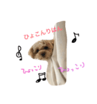 レアのスタンプ（個別スタンプ：21）