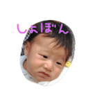 こたちゃん♩（個別スタンプ：15）