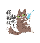 The cats of Ms.Meiio（個別スタンプ：18）