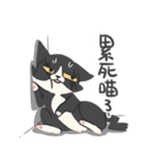 The cats of Ms.Meiio（個別スタンプ：28）