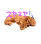 ぷぅたんです（個別スタンプ：14）