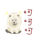 chow chow chow chow（個別スタンプ：3）