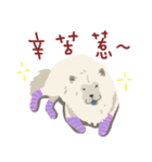 chow chow chow chow（個別スタンプ：12）