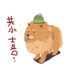 chow chow chow chow（個別スタンプ：13）