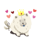 chow chow chow chow（個別スタンプ：14）