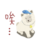 chow chow chow chow（個別スタンプ：19）