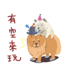 chow chow chow chow（個別スタンプ：24）