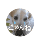 みるくU・x・U（個別スタンプ：4）