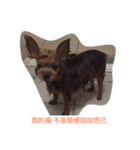 Dog KiKi（個別スタンプ：5）