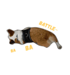 Corgi.BuTi's life.（個別スタンプ：2）