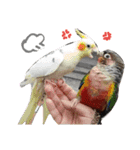 Love pet My home1（個別スタンプ：39）