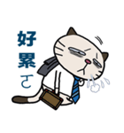 Confused fat cat - Office workers 2（個別スタンプ：13）