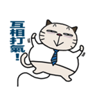 Confused fat cat - Office workers 2（個別スタンプ：30）