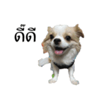 Titan Dogs（個別スタンプ：29）