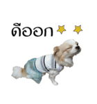 Titan Dogs（個別スタンプ：31）