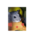 Fat rat mouse（個別スタンプ：2）